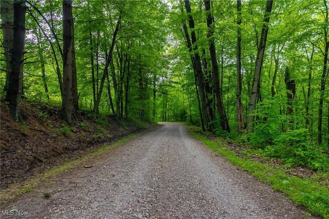 2461 Peters Creek Rd, Cambridge, OH 43725 - view of road featuring a forest view