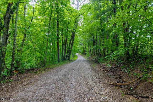 2461 Peters Creek Rd, Cambridge, OH 43725 - view of road featuring a view of trees