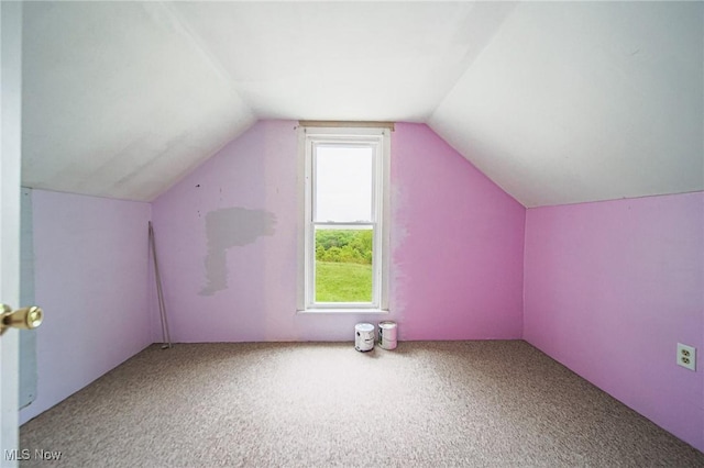 2461 Peters Creek Rd, Cambridge, OH 43725 - additional living space featuring vaulted ceiling and carpet