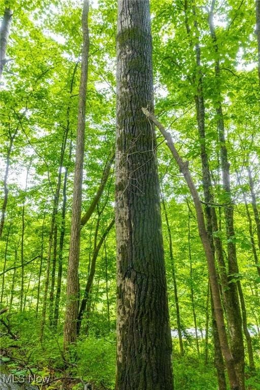 2461 Peters Creek Rd, Cambridge, OH 43725 - view of tree filled area