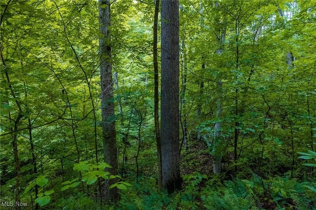 2461 Peters Creek Rd, Cambridge, OH 43725 - view of woods