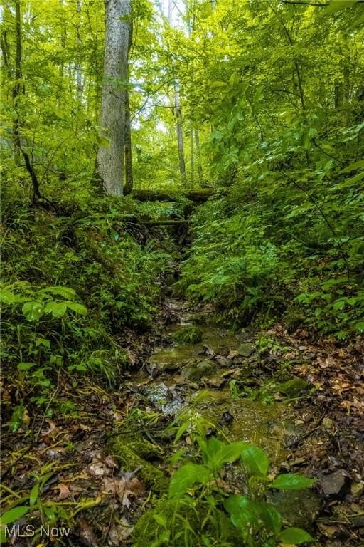 2461 Peters Creek Rd, Cambridge, OH 43725 - view of nature