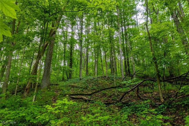2461 Peters Creek Rd, Cambridge, OH 43725 - view of tree filled area