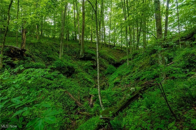 2461 Peters Creek Rd, Cambridge, OH 43725 - view of undeveloped land