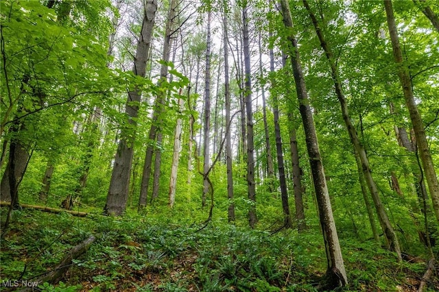 2461 Peters Creek Rd, Cambridge, OH 43725 - view of woods