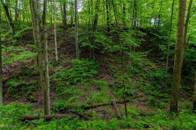2461 Peters Creek Rd, Cambridge, OH 43725 - view of woods