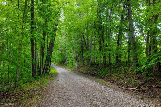 2461 Peters Creek Rd, Cambridge, OH 43725 - view of road featuring a view of trees