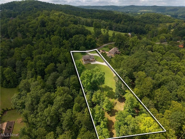 114 Buckner Bend Rd, Walker, WV 26180 - aerial view of property's location with property boundaries highlighted