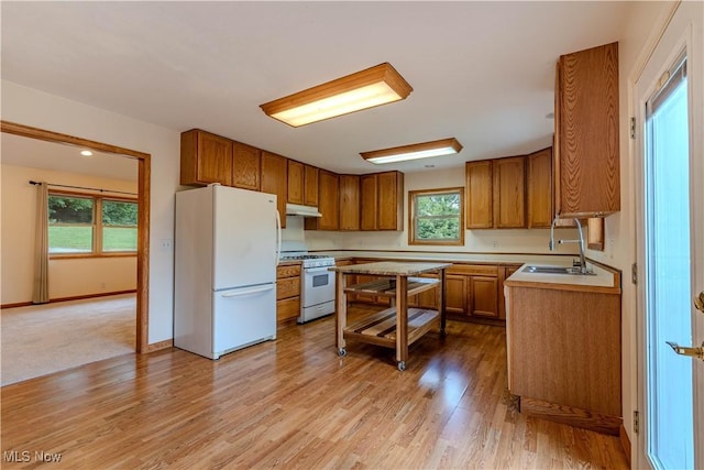 114 Buckner Bend Rd, Walker, WV 26180 - kitchen with white appliances, brown cabinets, light countertops, under cabinet range hood, and light wood-style floors