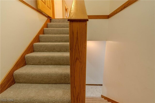 114 Buckner Bend Rd, Walker, WV 26180 - staircase featuring carpet