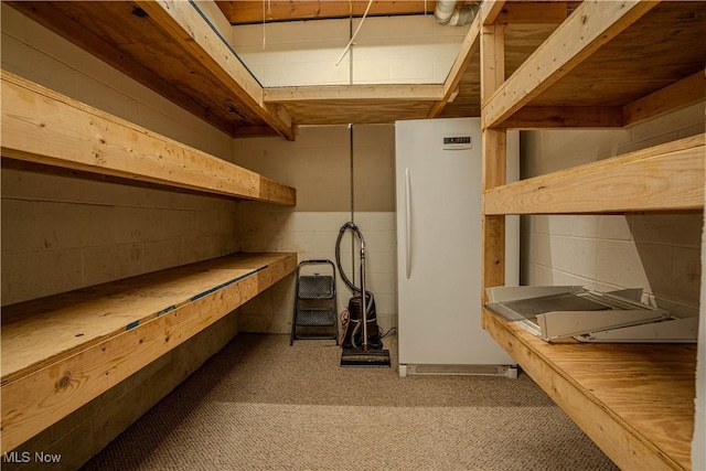 114 Buckner Bend Rd, Walker, WV 26180 - view of storage area