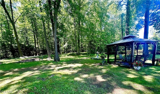 7720 Rice Rd, Amherst, OH 44001 - photo 40