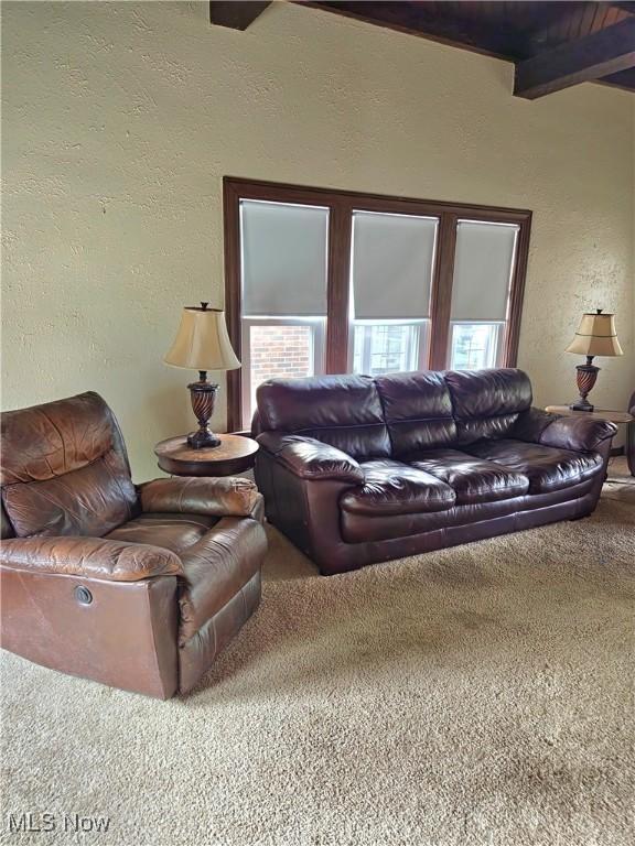 17405 Schenely Ave, Cleveland, OH 44119 - carpeted living room with a textured wall and beam ceiling