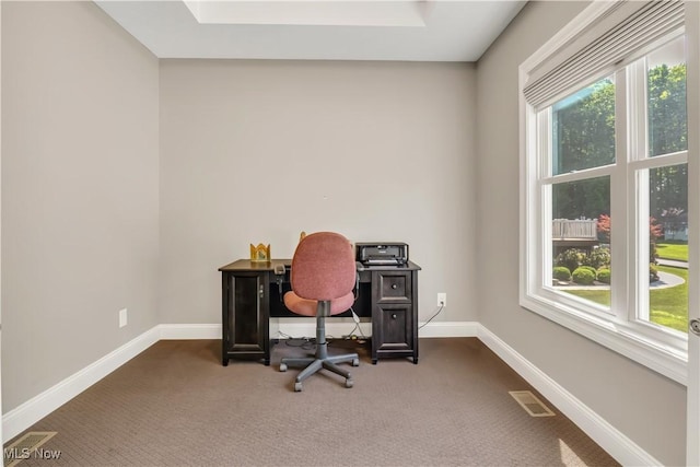 12110 Cora Ct, Concord, OH 44077 - office space featuring dark colored carpet and a skylight