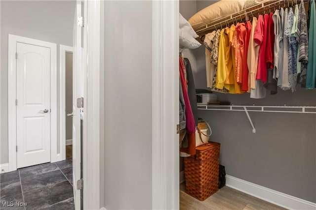 12110 Cora Ct, Concord, OH 44077 - view of spacious closet