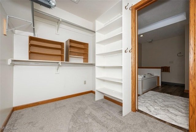 452 Herbert Rd, Akron, OH 44312 - walk in closet featuring carpet floors