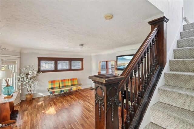 1298 W 114th St, Cleveland, OH 44102 - photo 20