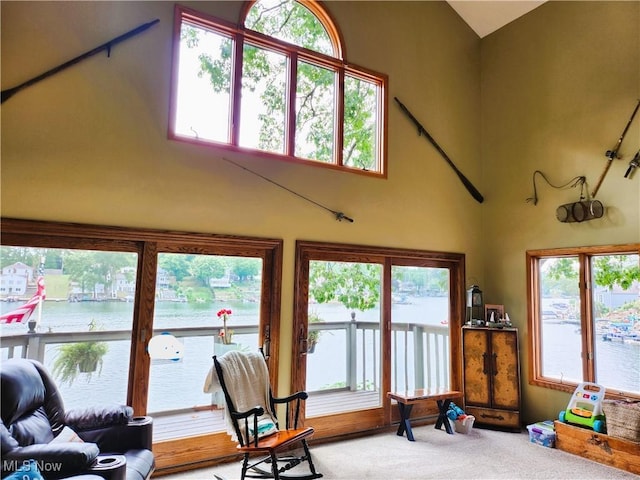3545 Malley Ave, Coventry Township, OH 44319 - living area with a towering ceiling, carpet floors, and a water view