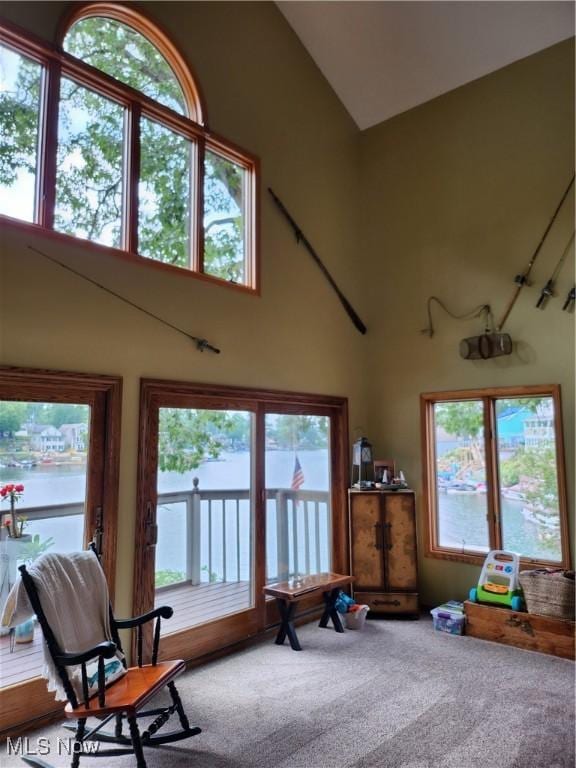 3545 Malley Ave, Coventry Township, OH 44319 - sitting room with high vaulted ceiling and carpet