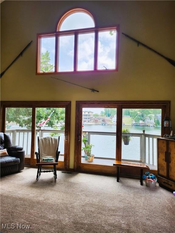 3545 Malley Ave, Coventry Township, OH 44319 - living area featuring a towering ceiling, carpet floors, and healthy amount of natural light
