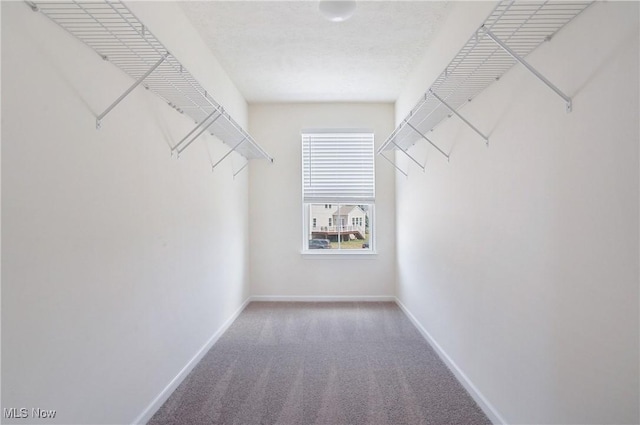 120 Glenridge Cir, Tallmadge, OH 44278 - spacious closet featuring carpet flooring