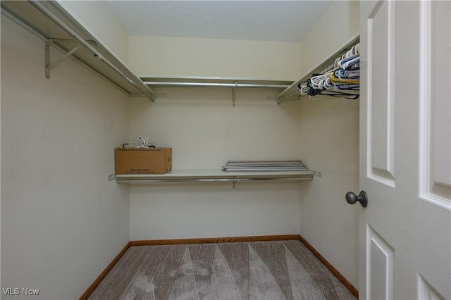 6104 Shipslanding Ave NW, Canton, OH 44718 - walk in closet featuring carpet floors