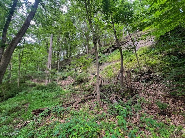 Edgeworth Ln, Cambridge, OH 43725