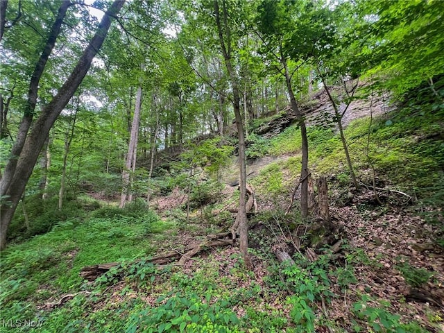 Edgeworth Ln, Cambridge, OH 43725