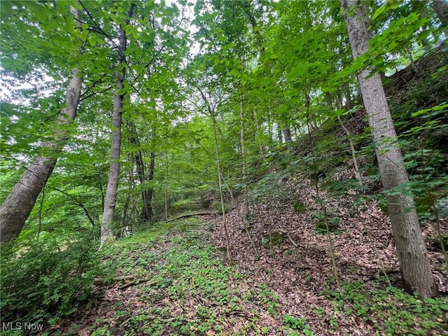 Edgeworth Ln, Cambridge, OH 43725