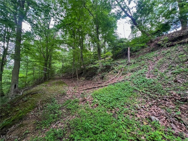 Edgeworth Ln, Cambridge, OH 43725