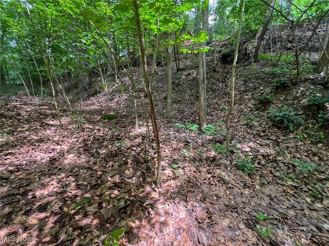 Edgeworth Ln, Cambridge, OH 43725