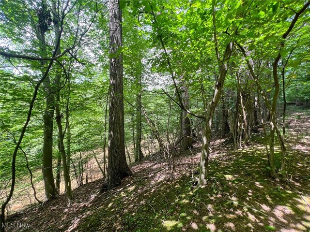 Edgeworth Ln, Cambridge, OH 43725