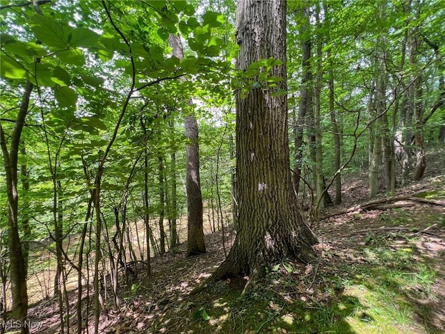 Edgeworth Ln, Cambridge, OH 43725
