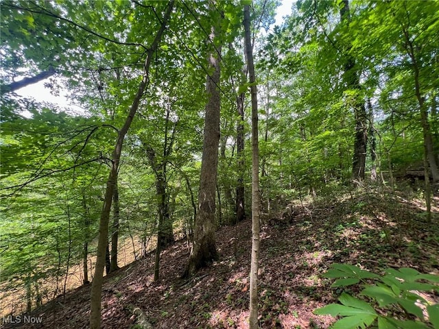 Edgeworth Ln, Cambridge, OH 43725
