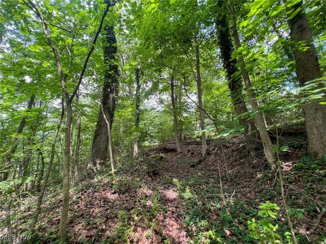 Edgeworth Ln, Cambridge, OH 43725
