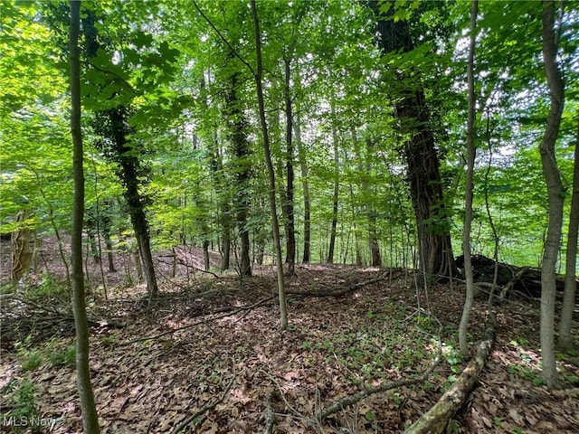 Edgeworth Ln, Cambridge, OH 43725