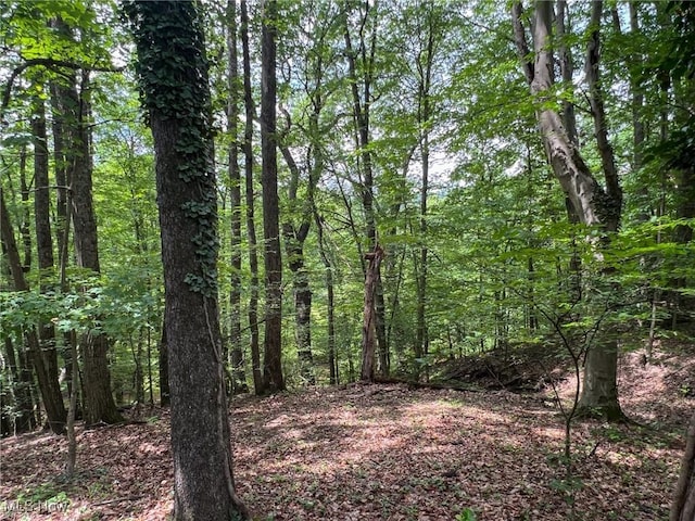 Edgeworth Ln, Cambridge, OH 43725