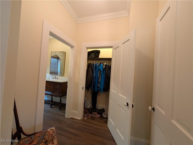 136 W Church St, Newton Falls, OH 44444 - corridor with ornamental molding and dark wood finished floors