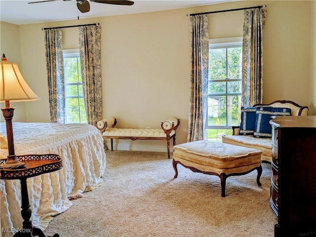 136 W Church St, Newton Falls, OH 44444 - carpeted bedroom with multiple windows and a ceiling fan