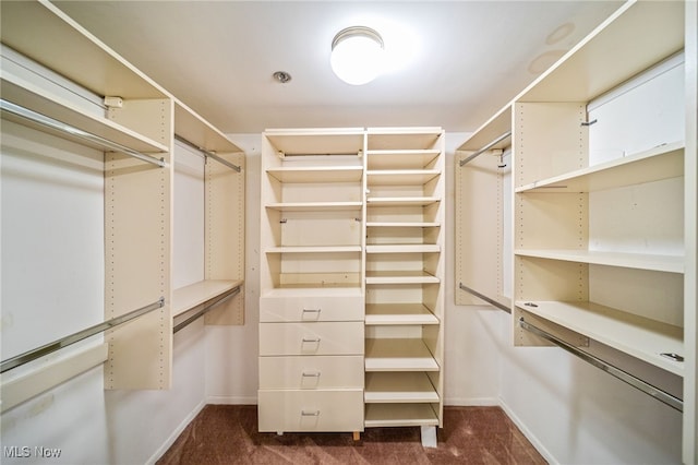 140 Fox Hollow Dr Unit 206C, Mayfield Heights, OH 44124 - walk in closet with dark colored carpet