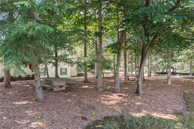 6131 Center St Unit 106, Mentor, OH 44060 - view of yard