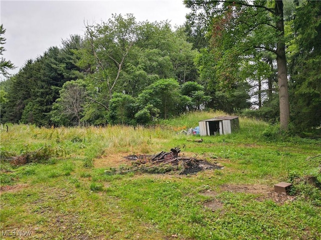 1811 Randolph Rd, Mogadore, OH 44260 - view of yard featuring a shed and a view of trees