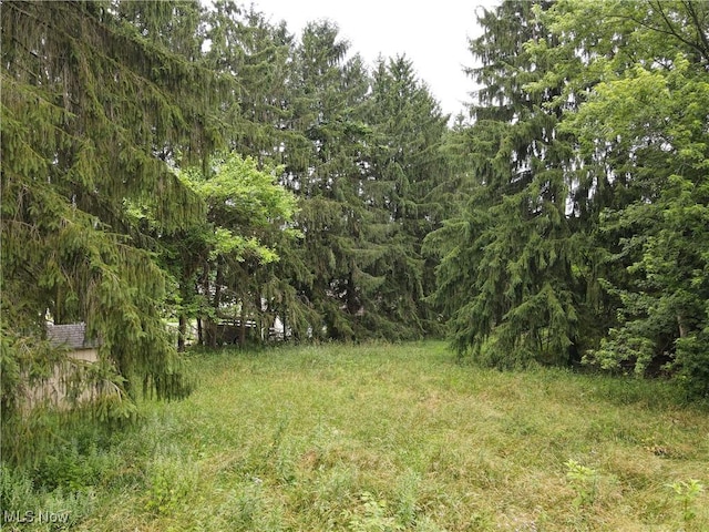 1811 Randolph Rd, Mogadore, OH 44260 - view of nature