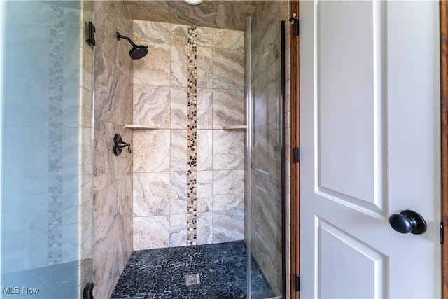 4053 Thats Life Ln, Canfield, OH 44406 - bathroom featuring a shower stall