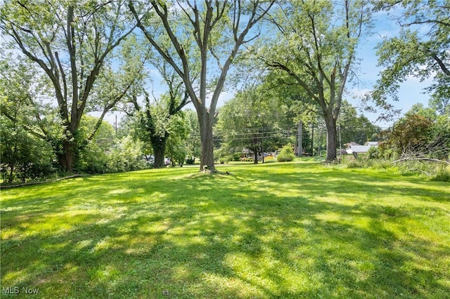 3410 Wales Ave NW, Massillon, OH 44646 - photo 6