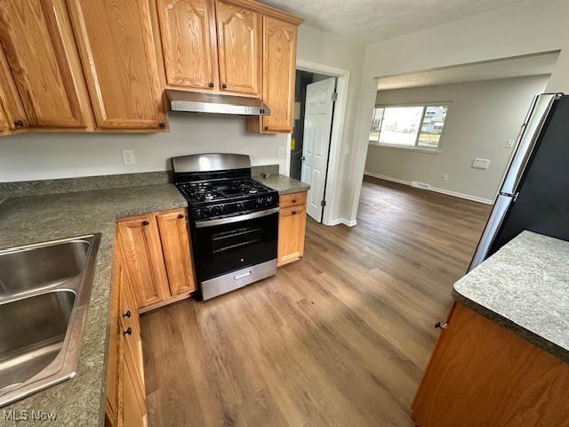 30115 Regent Rd, Wickliffe, OH 44092 - kitchen featuring appliances with stainless steel finishes, under cabinet range hood, wood finished floors, and dark countertops