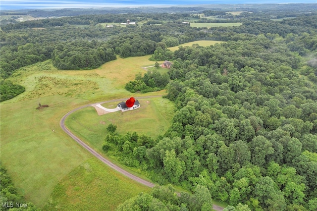 63550 Wintergreen Rd, Lore City, OH 43755 - photo 44