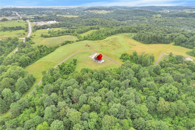 63550 Wintergreen Rd, Lore City, OH 43755 - photo 45