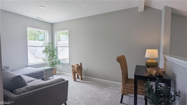 5007 Coventry Cir, Huron, OH 44839 - office featuring carpet flooring and baseboards