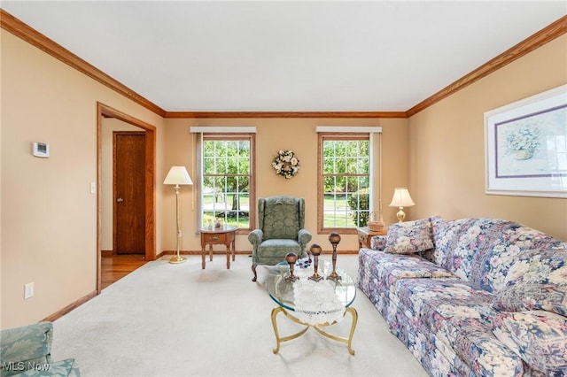 302 Brookpoint Cir, Wadsworth, OH 44281 - living area featuring crown molding and carpet